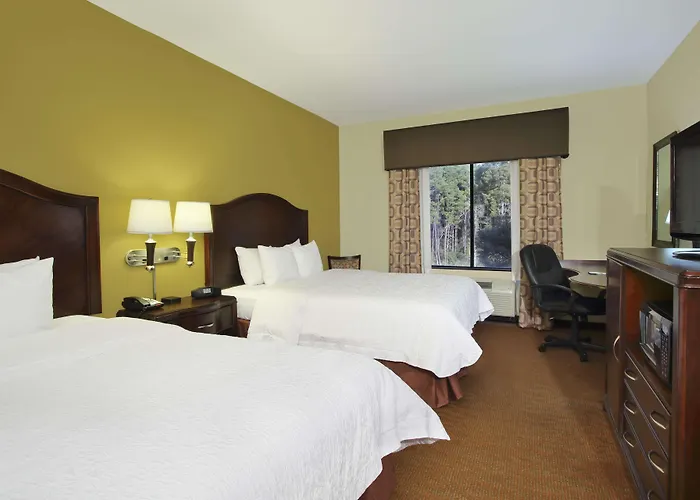 Hampton Inn & Suites Conroe I 45 North